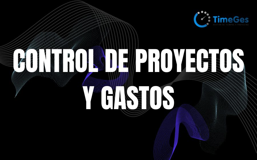 gestion de proyectos